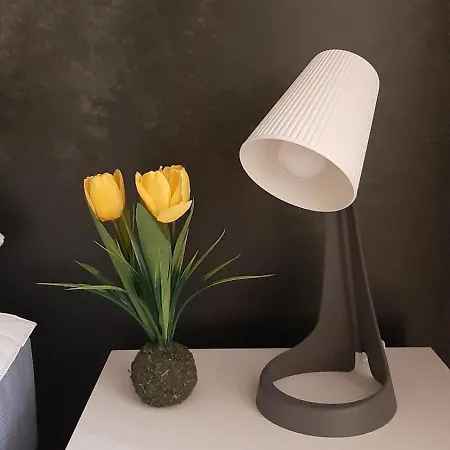 Διαμέρισμα Tontic Lux Hill 54