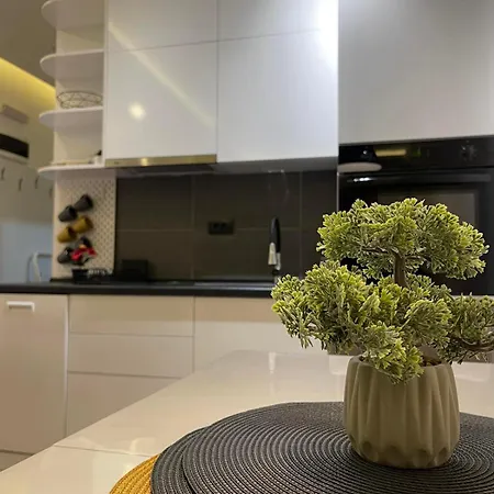 Διαμέρισμα Tontic Lux Hill 54 *