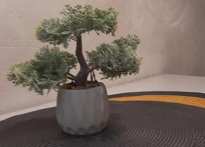 Tontic Lux Hill 54 * 카파오닉